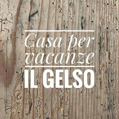 Appartamento Per Vacanze "Il Gelso" Роверето Экстерьер фото